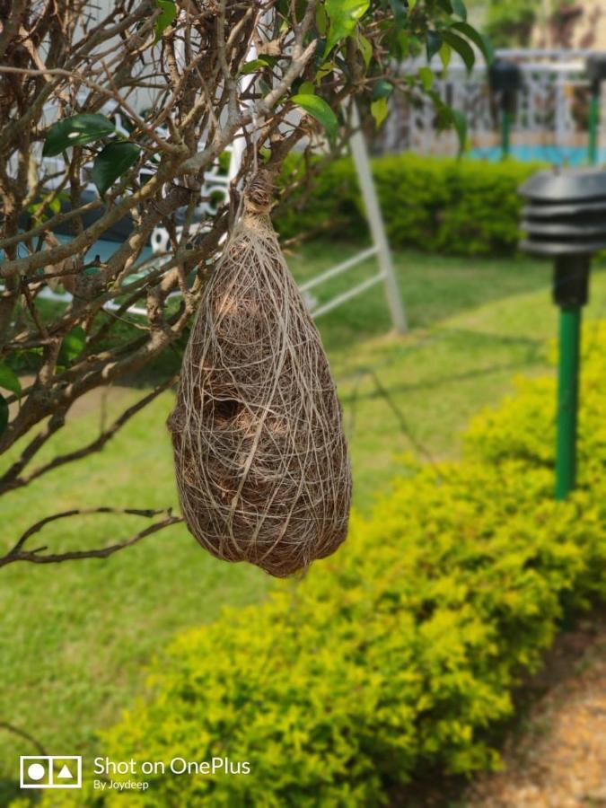 New Hemanjali Resort Bolpur Buitenkant foto